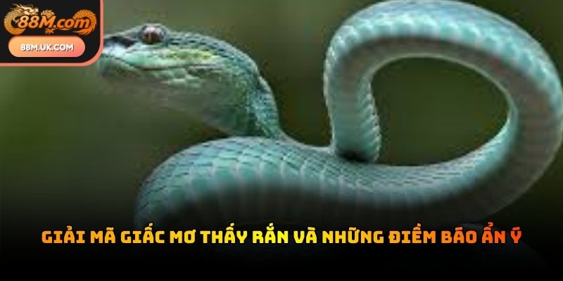 Hình ảnh loài rắn trong chiêm bao thường liên quan đến sự thay đổi lớn lao